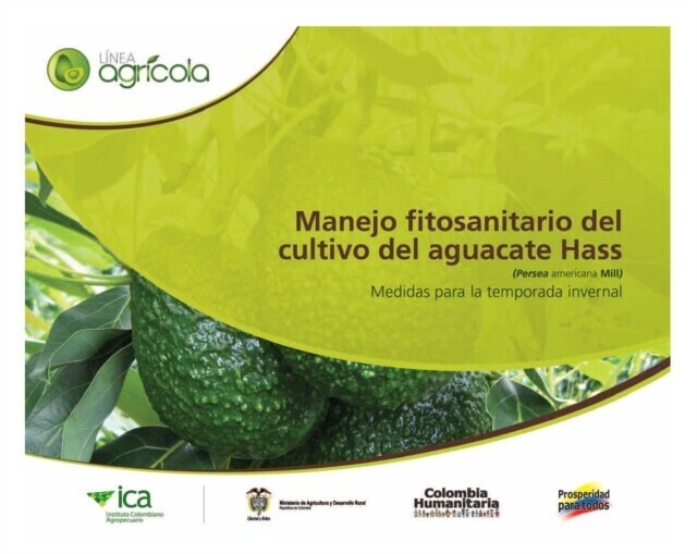 Manejo fitosanitario del cultivo del aguacate Hass (Persea americana Mill) medidas para la temporada invernal main product photo