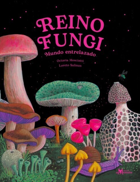 Reino Fungi main product photo