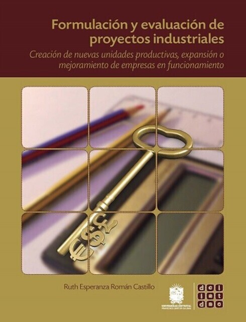 Formulación y evaluación de proyectos industriales main product photo
