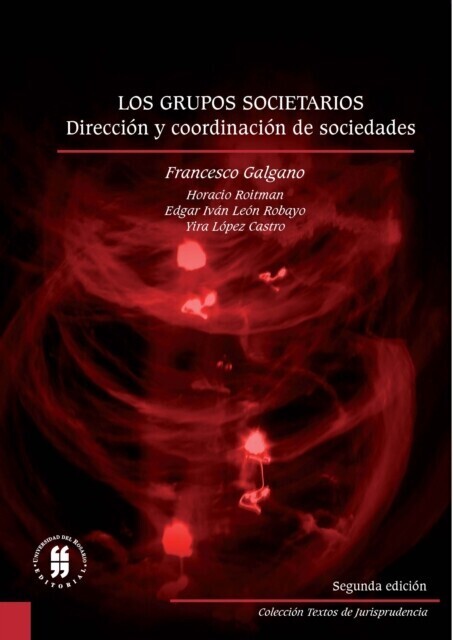 Los grupos societarios dirección y coordinación de sociedades main product photo