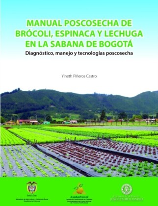 Manual poscosecha de brócoli, espinaca y lechuga en la sabana de Bogotá