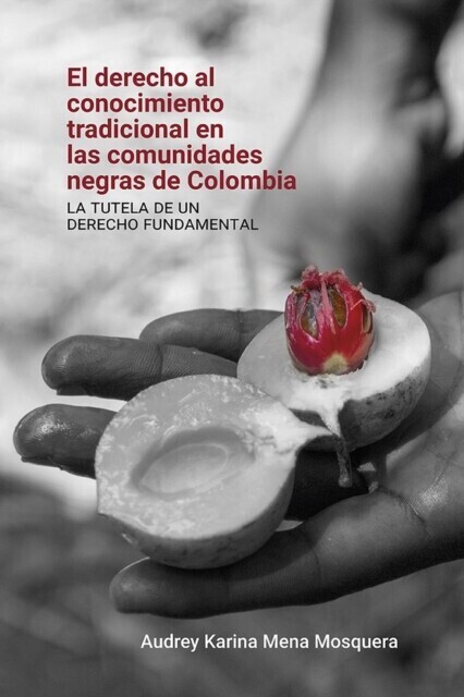 El derecho al conocimiento tradicional en las comunidades negras de Colombia: main product photo