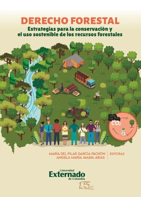 Derecho forestal: estrategias para la conservación y el uso sostenible de los recursos forestales main product photo