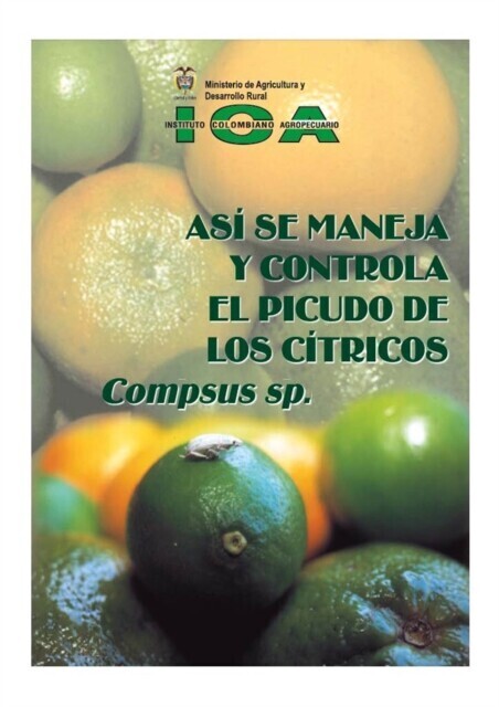 Así se maneja y controla el picudo de los cítricos Compsus sp. main product photo