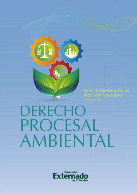 Derecho procesal ambiental main product photo