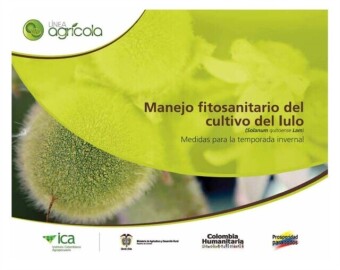 Manejo fitosanitario del cultivo del lulo (Medidas para la temporada invernal