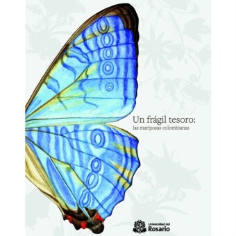 Un frágil tesoro: las mariposas colombianas