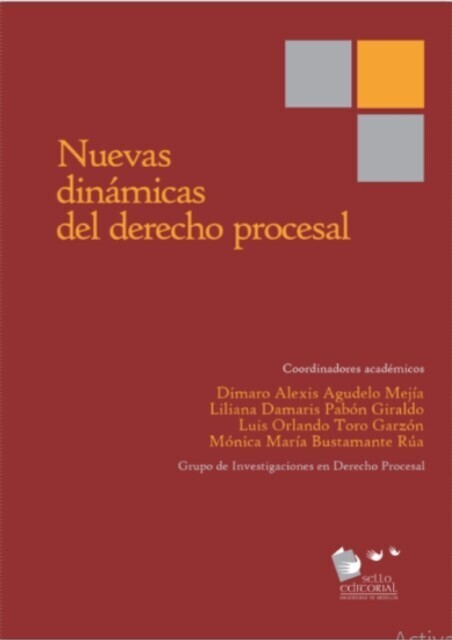 Nuevas dinámicas del derecho procesal main product photo
