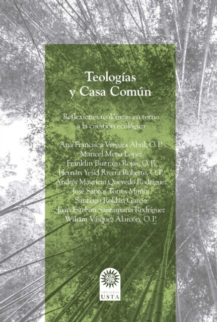 Teologías y Casa Común. main product photo