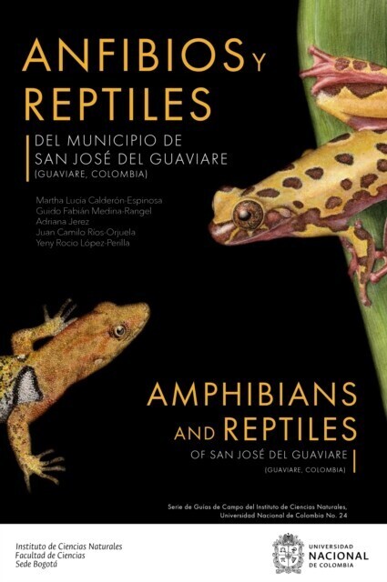 Anfibios y reptiles del municipio de San José del Guaviare (Guaviare, Colombia) main product photo