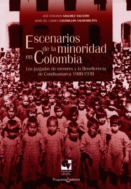 Escenarios de la minoridad en Colombia main product photo