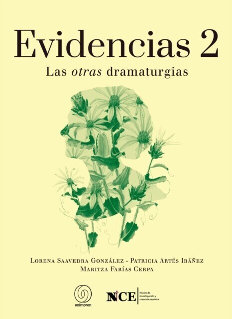 Evidencias 2 main product photo