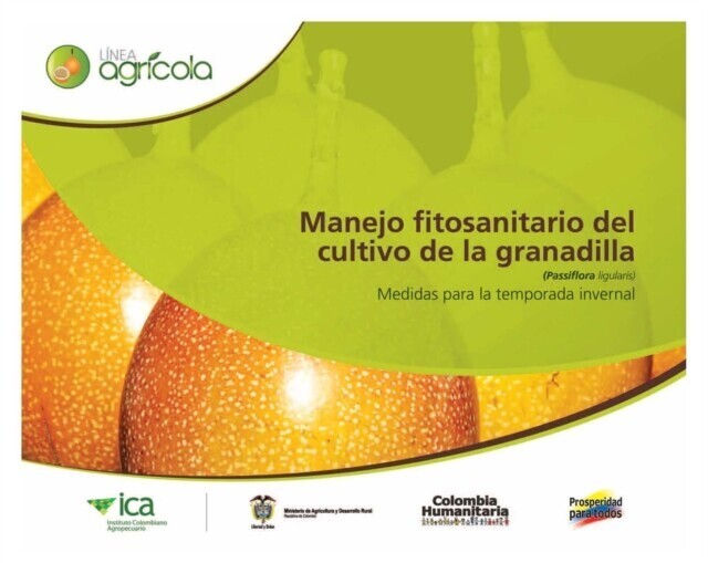 Manejo fitosanitario del cultivo de la granadilla (Passiflora ligularis), medidas para la temporada invernal main product photo