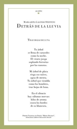 Detrás de la lluvia