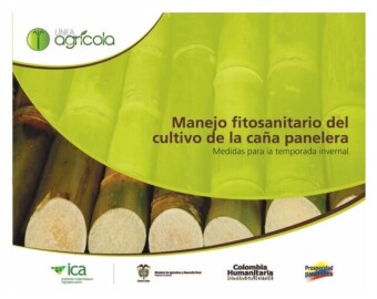 Manejo fitosanitario del cultivo de la caña panelera, medidas para la temporada invernal
