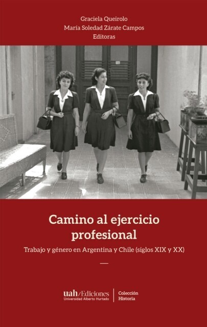 Camino al ejercicio profesional main product photo
