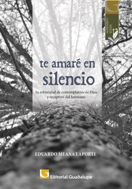 Te amaré en silencio main product photo