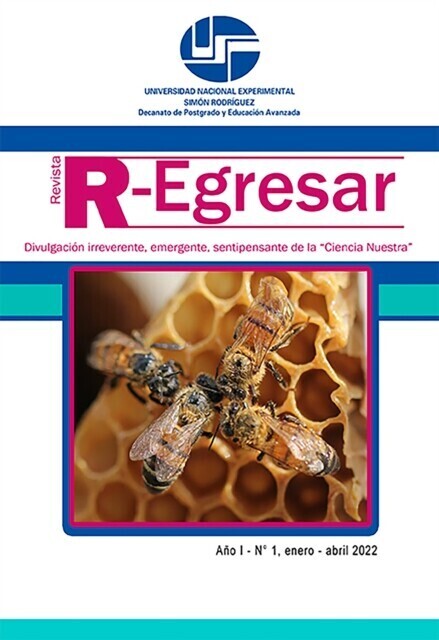 Revista R-Egresar main product photo