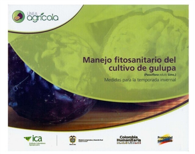 Manejo fitosanitario del cultivo de gulupa (Passiflora edulis Sims.): Medidas para la temporada invernal main product photo