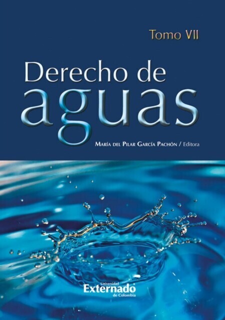 Derecho de Aguas Tomo VII main product photo