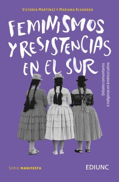Feminismos y resistencias en el Sur main product photo