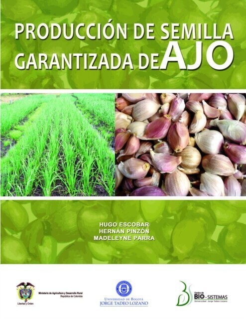 Producción de semilla garantizada de ajo main product photo