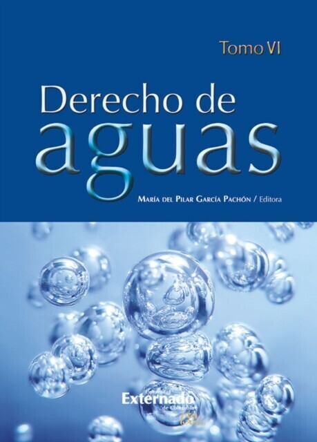 Derecho de Aguas Tomo VI main product photo
