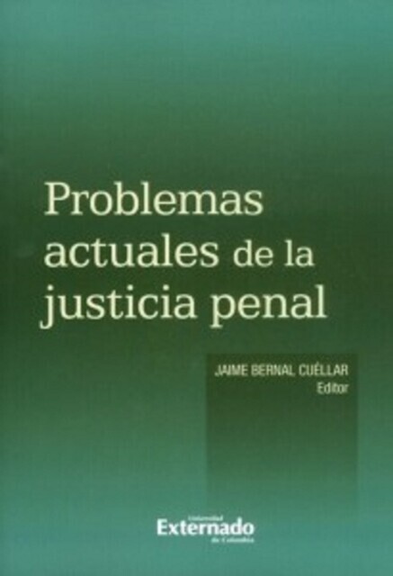 Problemas actuales de la justicia penal main product photo