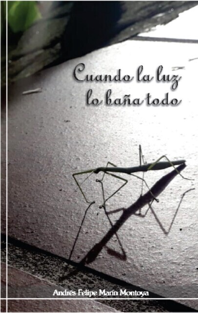 Cuando la luz lo baña todo main product photo