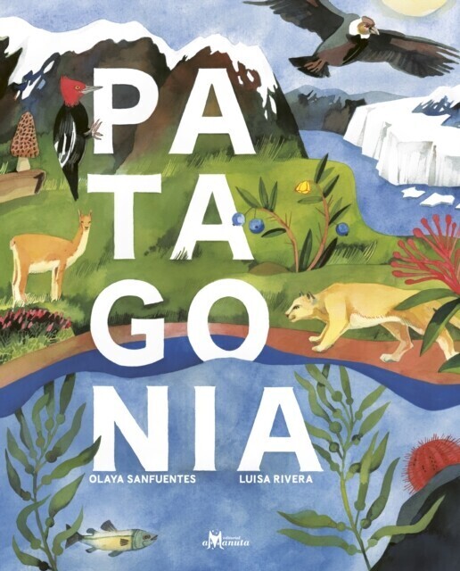 Patagonia main product photo