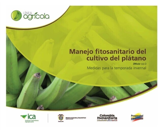 Manejo fitosanitario del cultivo del plátano (Medidas para la temporada invernal) main product photo