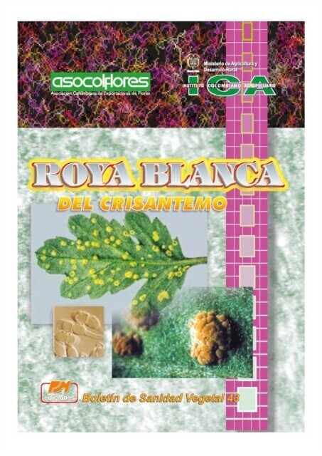 Roya blanca del crisantemo main product photo