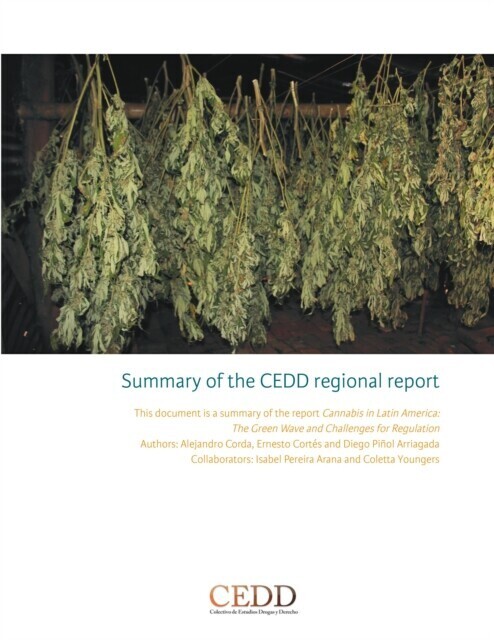 Summary of the CEDD regional report main product photo