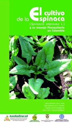 El cultivo de la espinaca y su manejo fitosanitario en Colombia