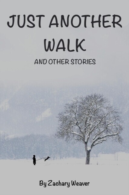 Just Another Walk and Other Stories main product photo