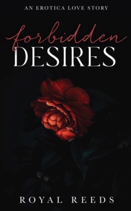 Forbbiden Desires: Erotic Romance