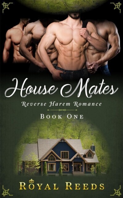 House Mates: Reverse Harem Romance main product photo