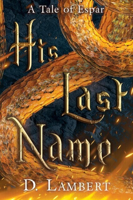 His Last Name main product photo