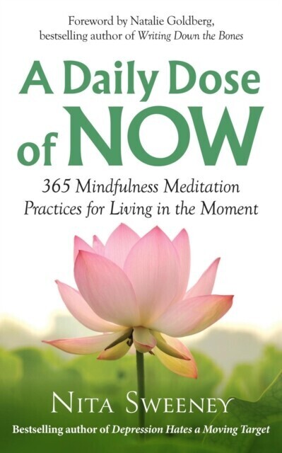 Daily Dose of Now: 365 Mindfulness Meditation Practices for Living in the Moment main product photo
