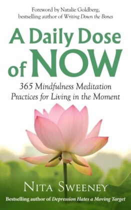 Daily Dose of Now: 365 Mindfulness Meditation Practices for Living in the Moment