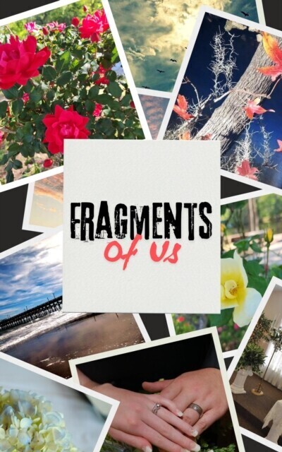 Fragments of Us main product photo