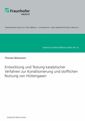 Entwicklung und Testung katalytischer Verfahren zur Konditionierung und stofflichen Nutzung von Hüttengasen