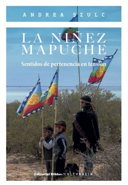 La niñez mapuche main product photo