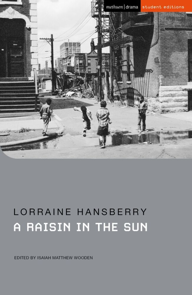 A Raisin in the Sun main product photo