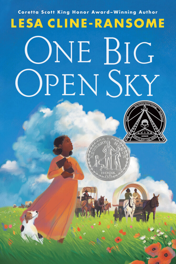 One Big Open Sky main product photo