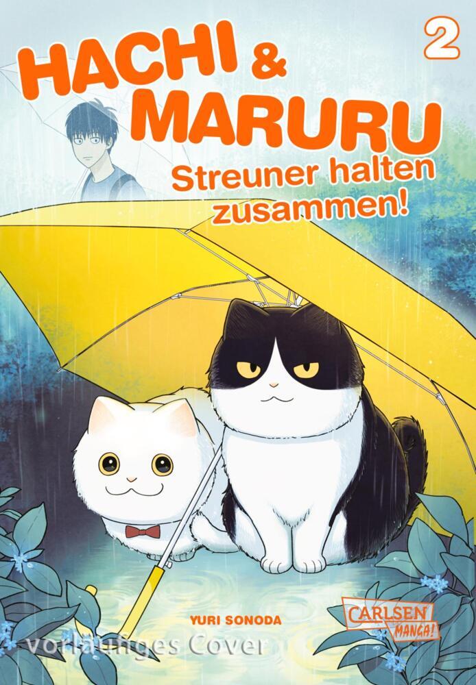 Hachi & Maruru - Streuner halten zusammen! 2 main product photo