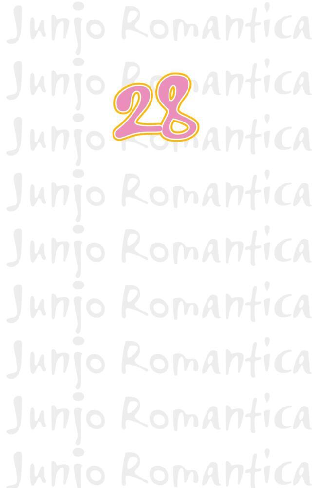 Junjo Romantica 28 main product photo