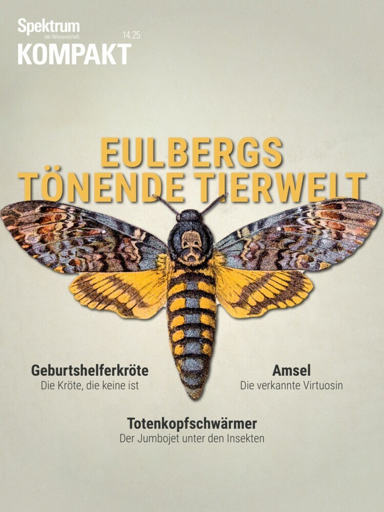 Spektrum Kompakt - Eulbergs tönende Tierwelt main product photo