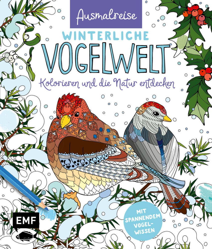 Ausmalreise Winterliche Vogelwelt main product photo