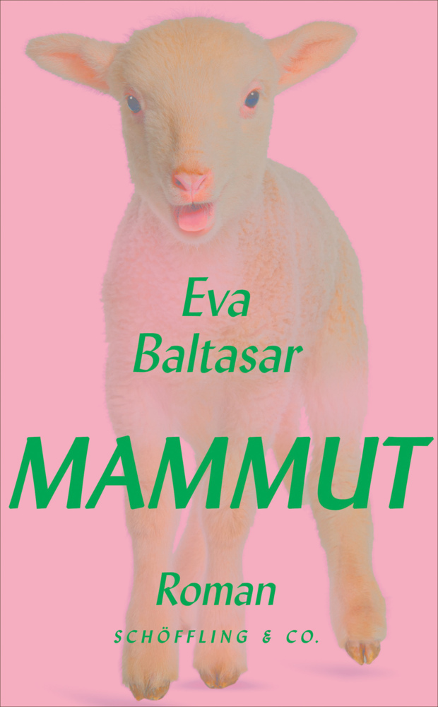 Mammut main product photo